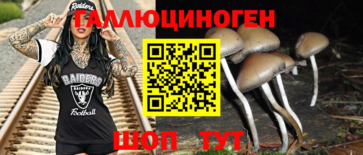 Галлюциногенные грибы Cubensis Петрозаводск