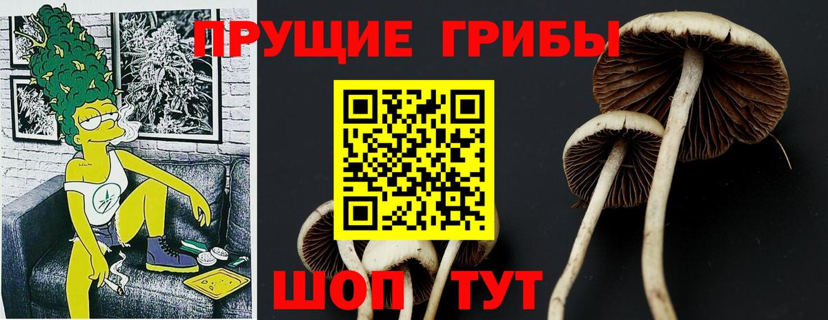 Псилоцибиновые грибы мухоморы  купить   Петрозаводск  Вход с VPN  Галлюциногенные грибы MAGIC MUSHROOMS 